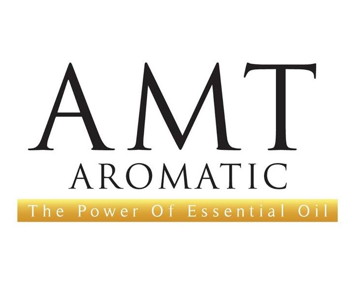 AMT_website_logo